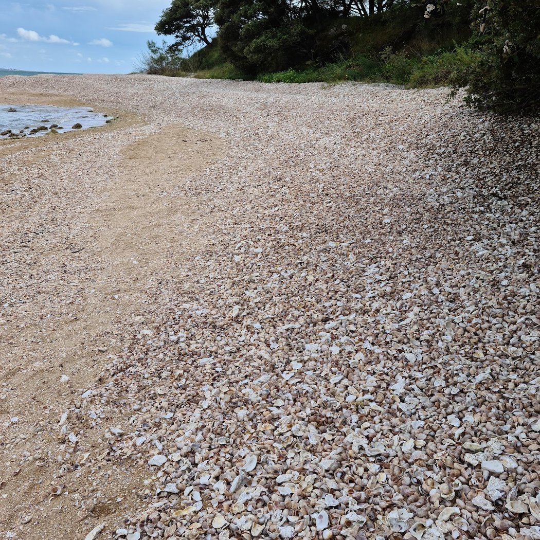 Plage aux Coquillages 1